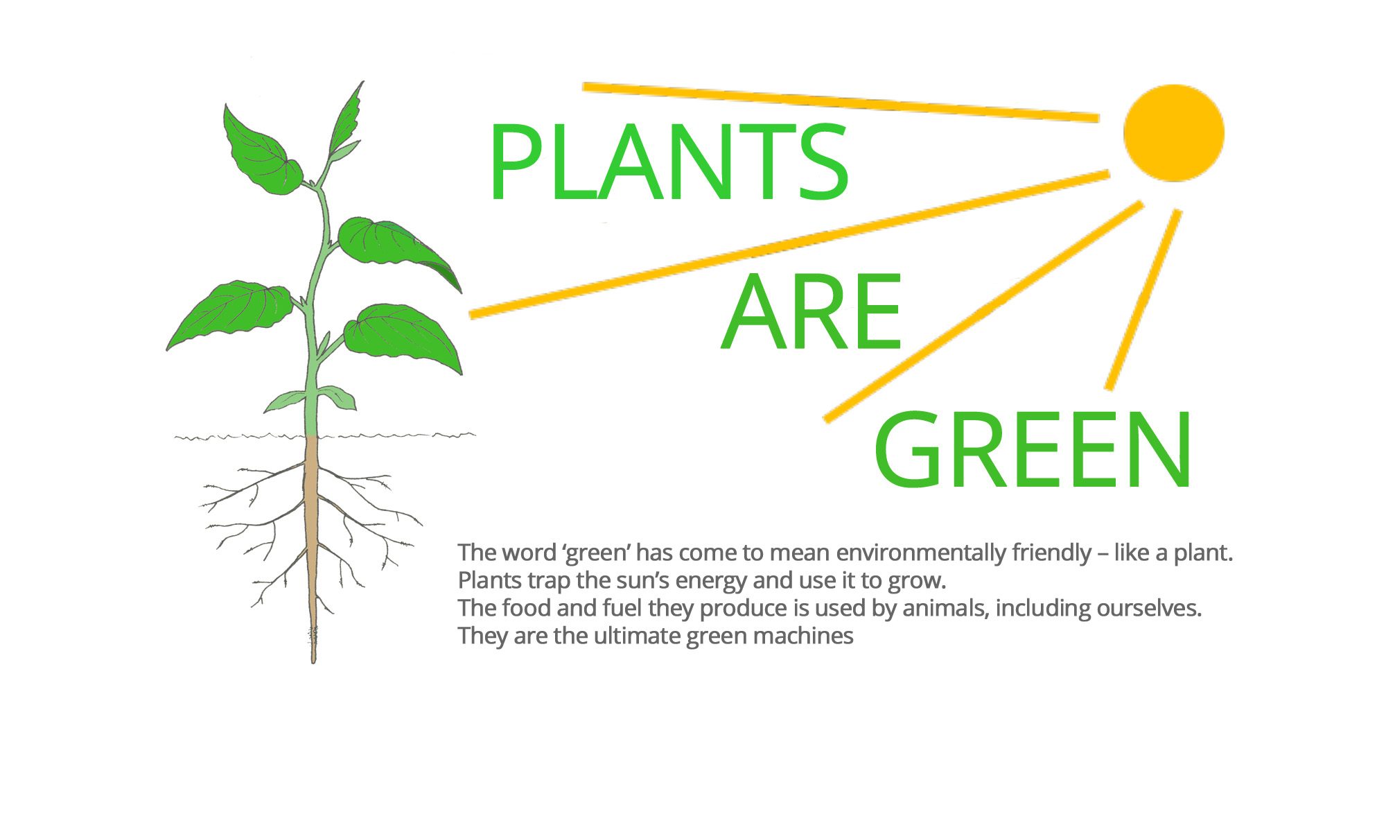 Plants are Green